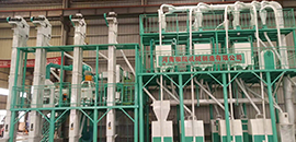 8臺(tái)鋼磨面粉成套加工設(shè)備